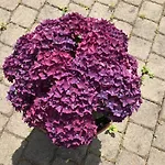 Apartmenthaus * Zeuthen