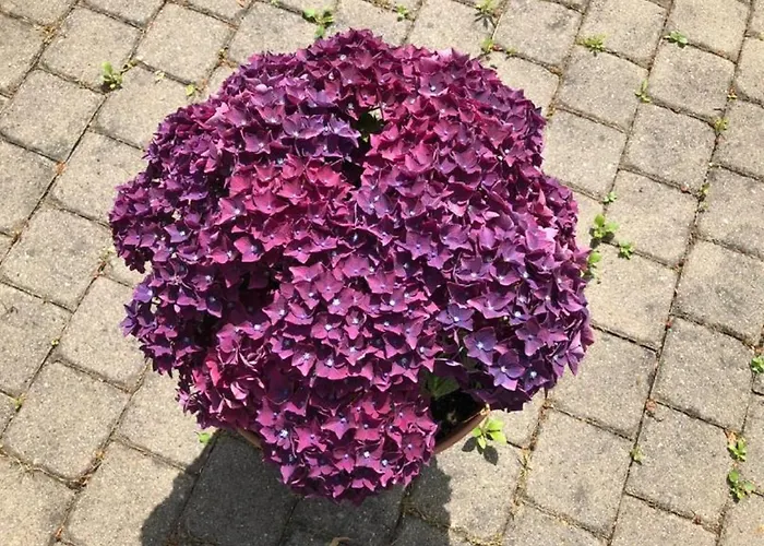 Apartmenthaus * Zeuthen